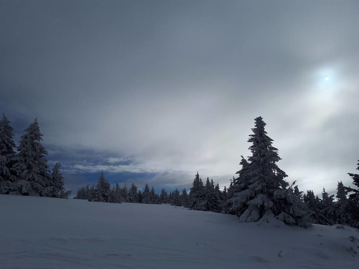 Katia М14 Milmari Resort Kopaonik Extérieur photo